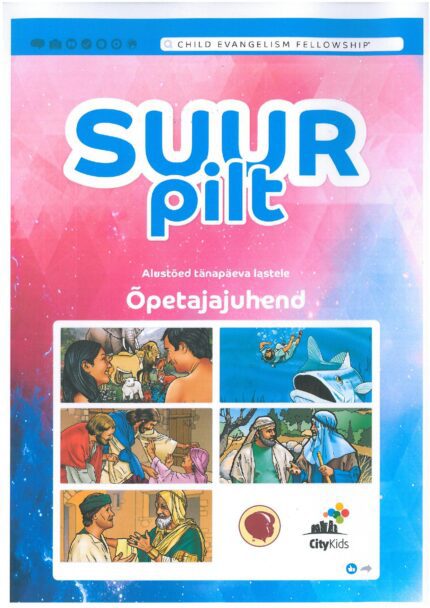 Suur pilt